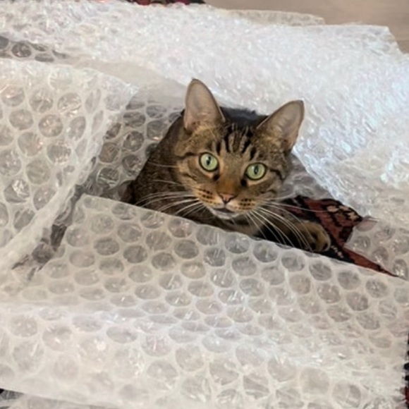 Meet your Posher, Heather - Picture 1 of 1